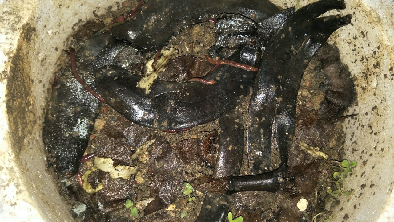 自制养蚯蚓神器,自制鱼饵神器大全