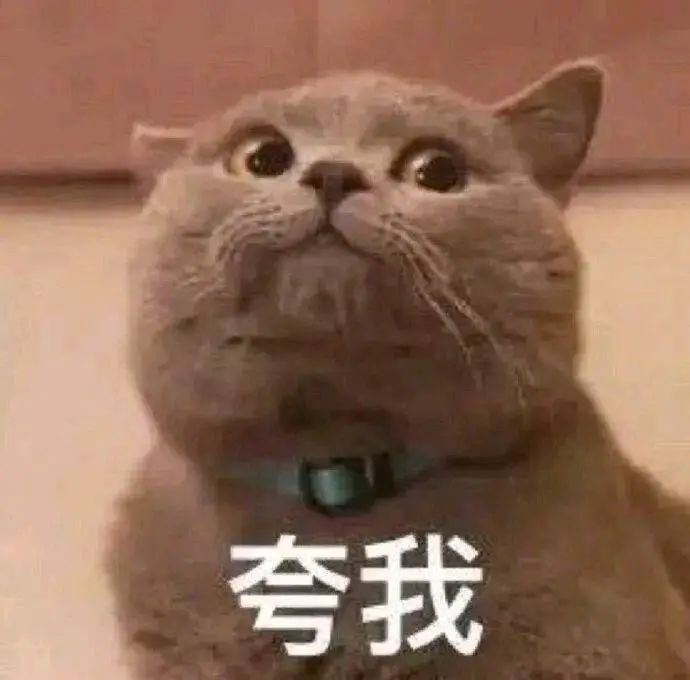 哪些平价又好用的国货,推荐便宜又好用的国货