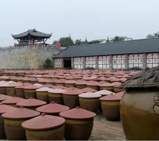 成都田园风光旅游攻略,成都旅游攻略清吧