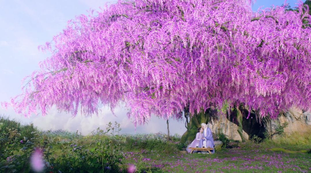 当代女孩为何沉迷于嗑cp,当代女生单身的原因是因为嗑cp