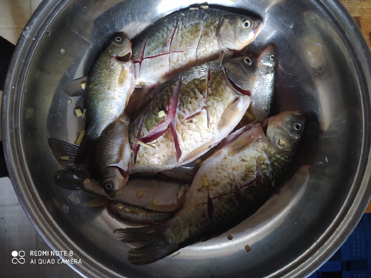 由鱼道联想到蚯蚓道，教你又快又准找蚯蚓