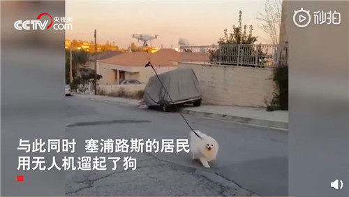 会玩！外国民众居家抗疫乐趣多：阳台办起音乐会，无人机遛狗，厕纸成了筹码