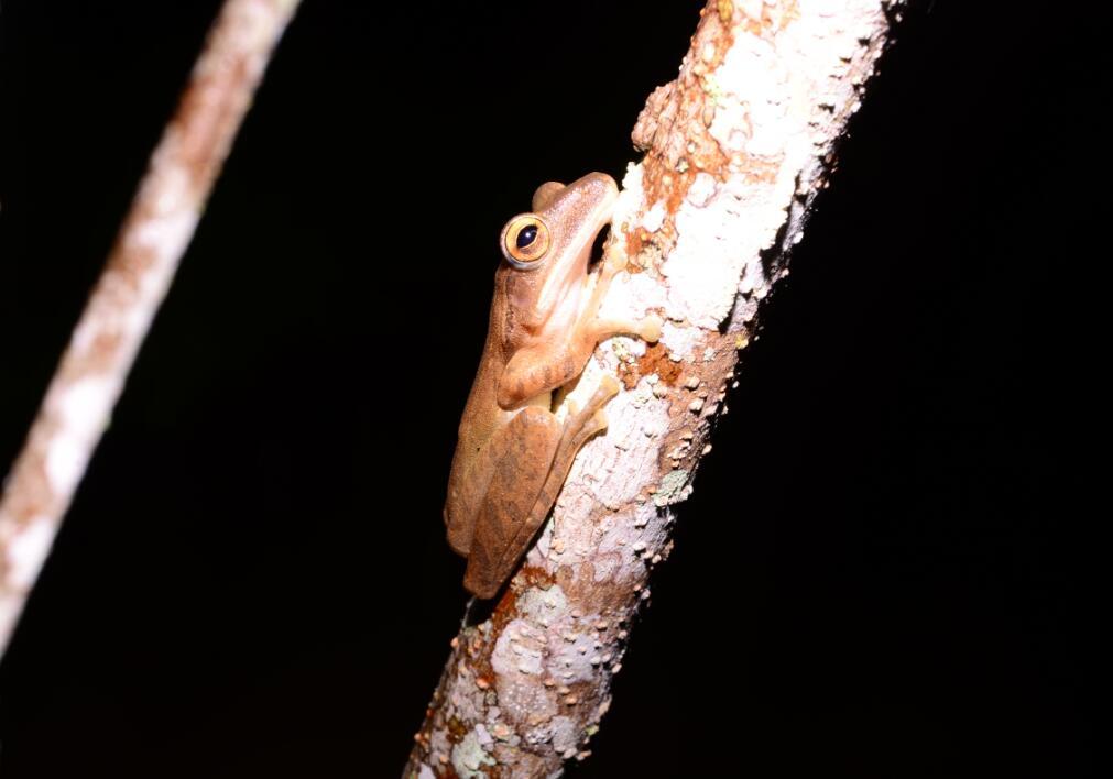 可再生的水电,永不复生的家园