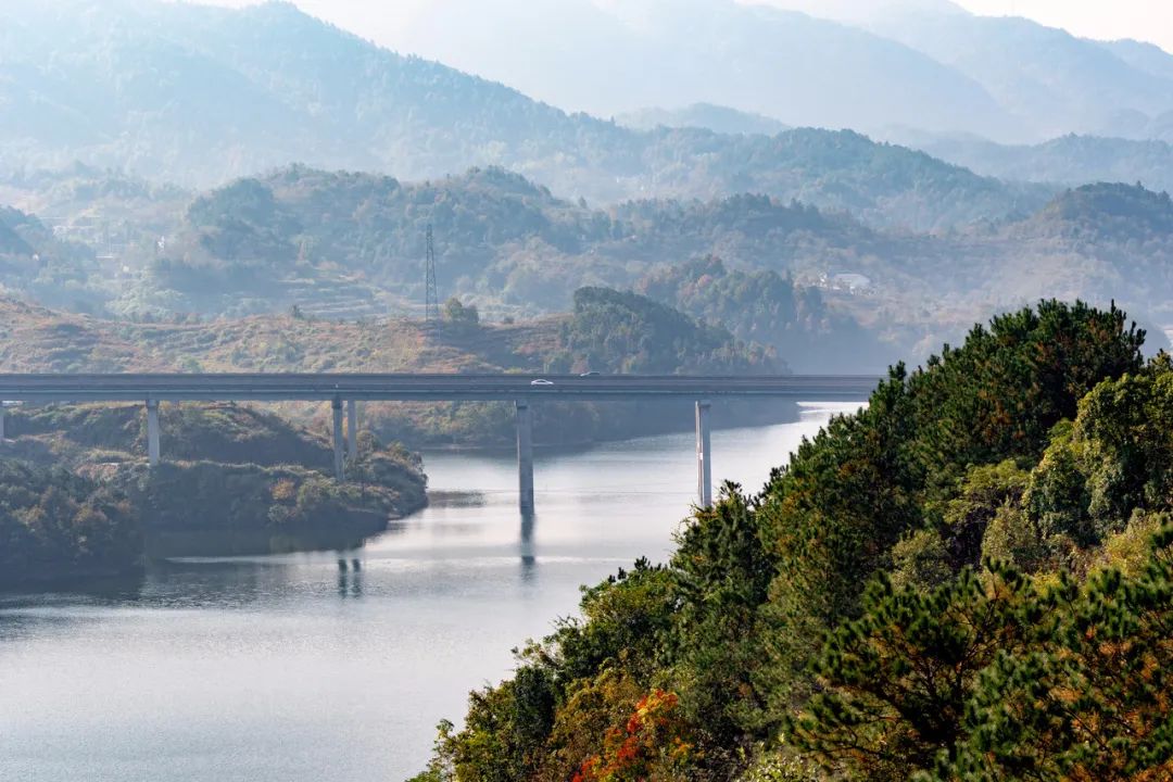黄冈中学走下神坛,黄冈中学高三现状