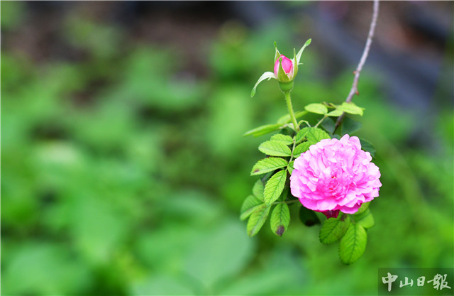 时令的味道,时令的味道完整版