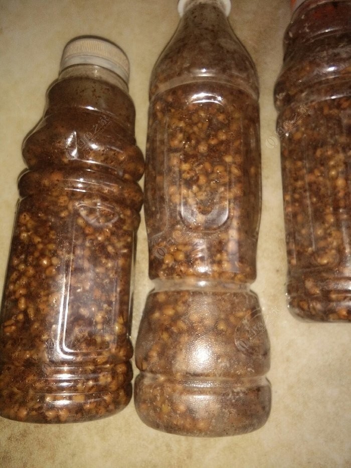 野钓中药酒米制作及配方,自制钓鱼酒米配方