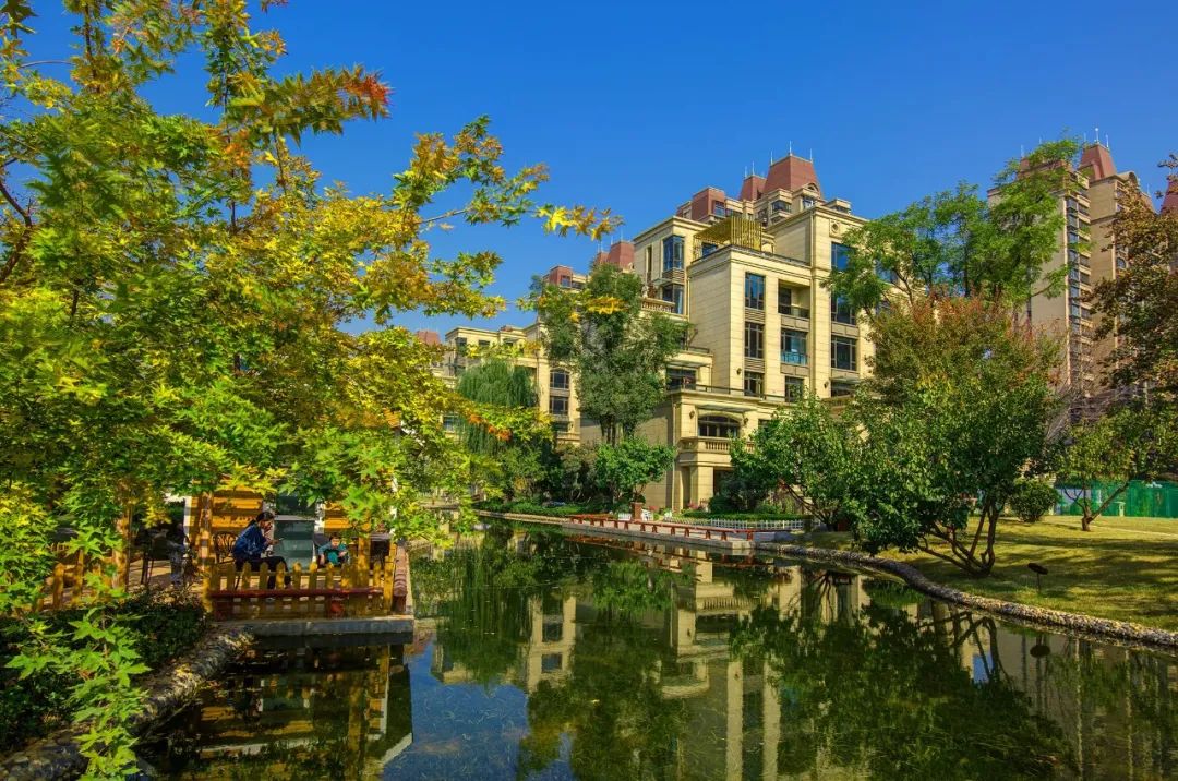 14年耕耘，9家房企驻扎，洞林湖迎来高光时刻