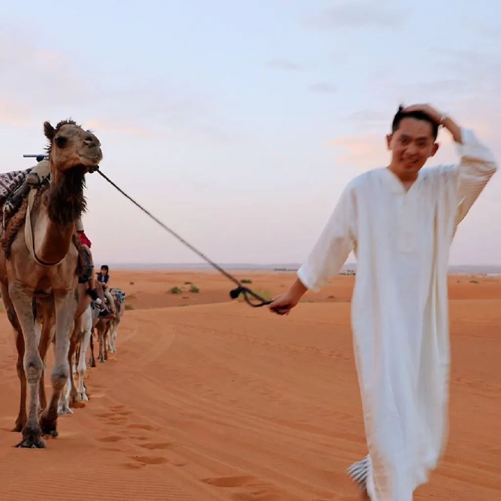 兴化千垛菜花攻略,兴化千垛菜花有多美