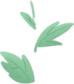 24节气秋分的小知识,关于秋分节气的常识