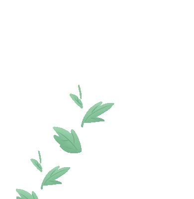 壮族的简介及特色,从地理方位看民族