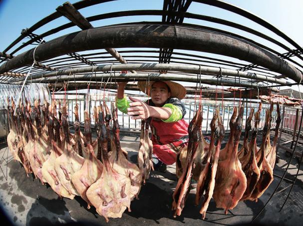 深圳市坪地腊鸭,深圳坪地腊鸭