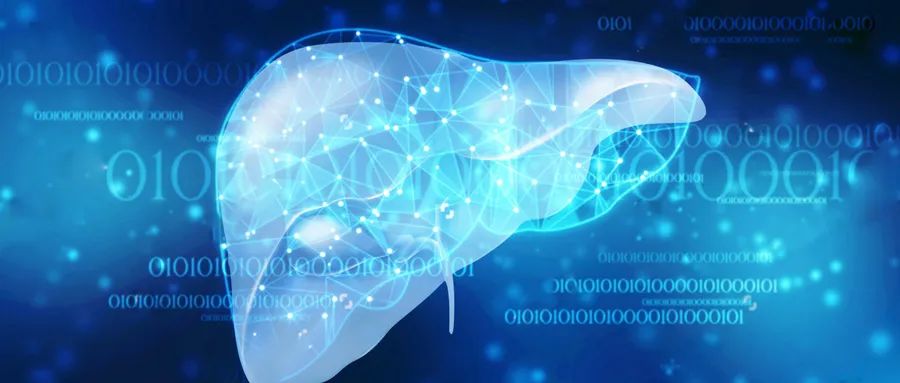 化疗中患者要如何养肝,放化疗期间怎么养肝护胃