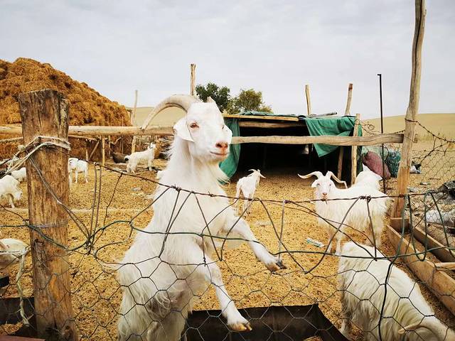 南北疆深度环线8日游,南北疆30天旅游攻略