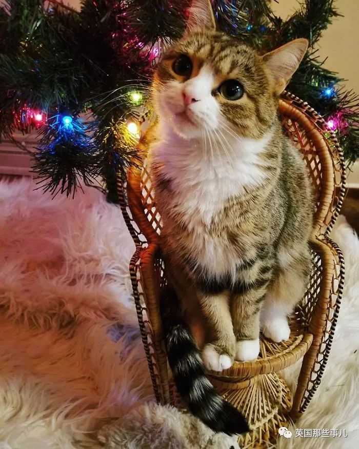 旧货市场淘到有趣的东西,网友们在旧货店发现的各种宝贝