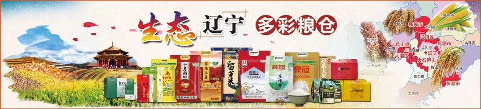 中国好粮油山东篇完整版,中国好粮油山东