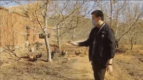 生活帮鲜果小镇,生活帮餐饮