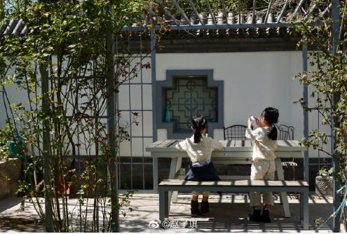 赵子琪晒娃日常,赵子琪晒娃视频完整版