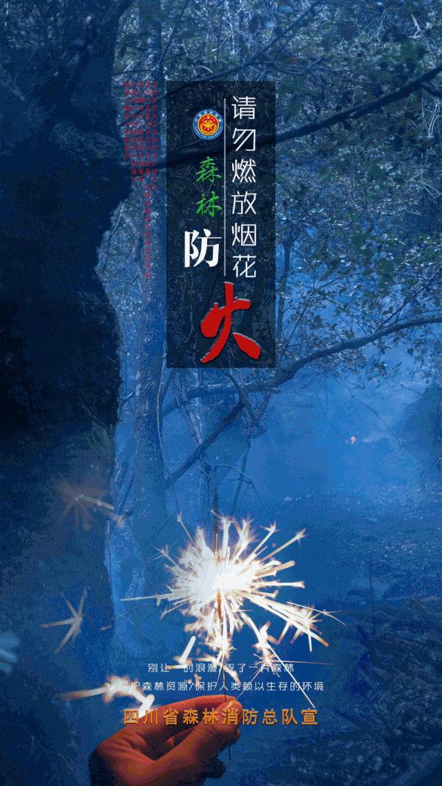 青禾计划‖走，去逛逛“哦耶淘宝”儿童跳蚤市场