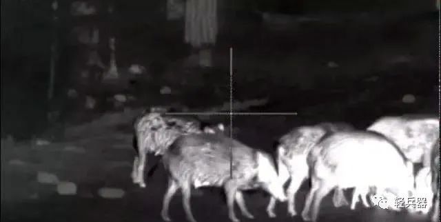 最新热成像瞄准镜,顶级热成像瞄准镜