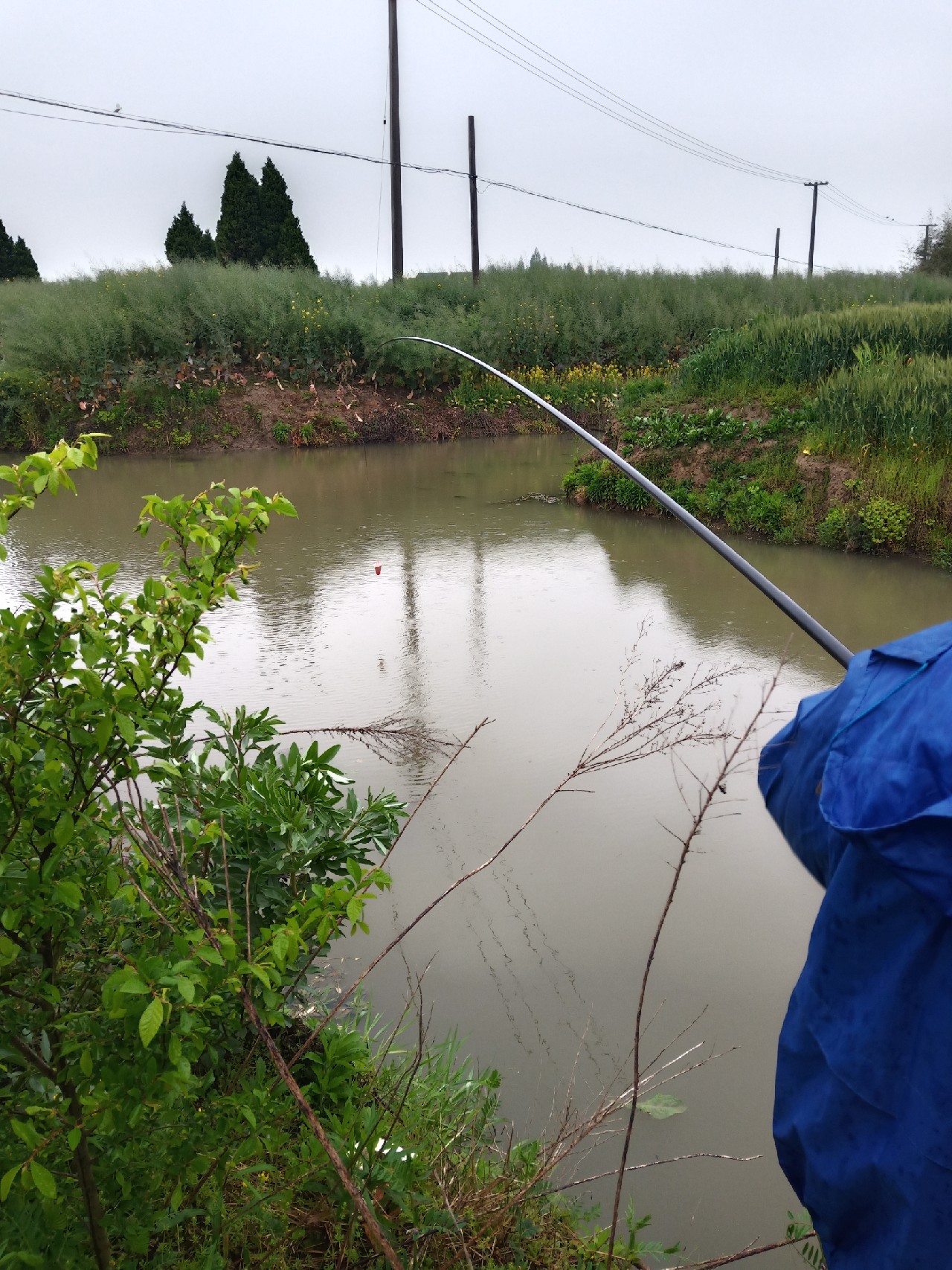 台钓vs路亚哪个更好玩,传统钓比台钓更容易钓获大鲫鱼