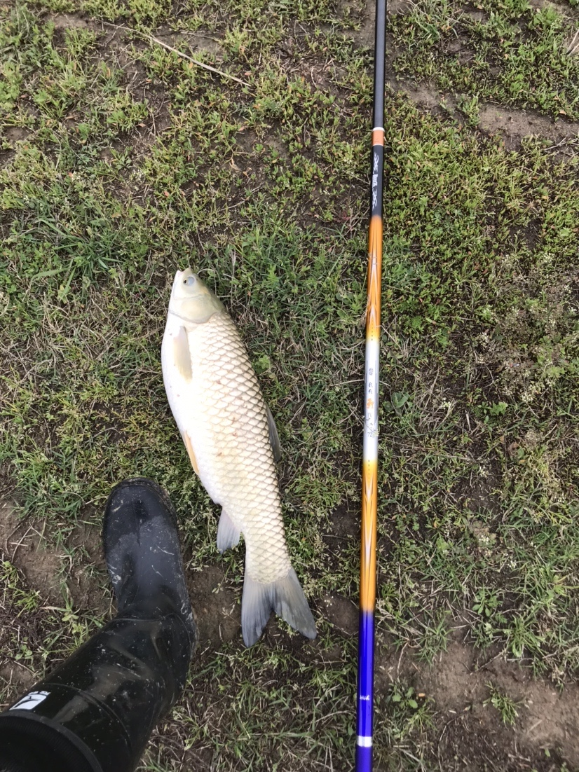 春天河边钓鱼技巧视频,春天水库钓鱼技巧