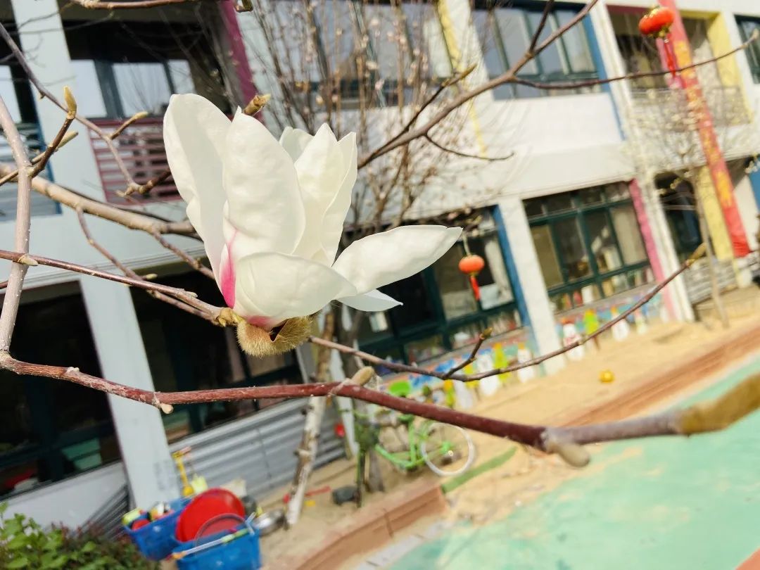 四月校园联谊,四月相聚