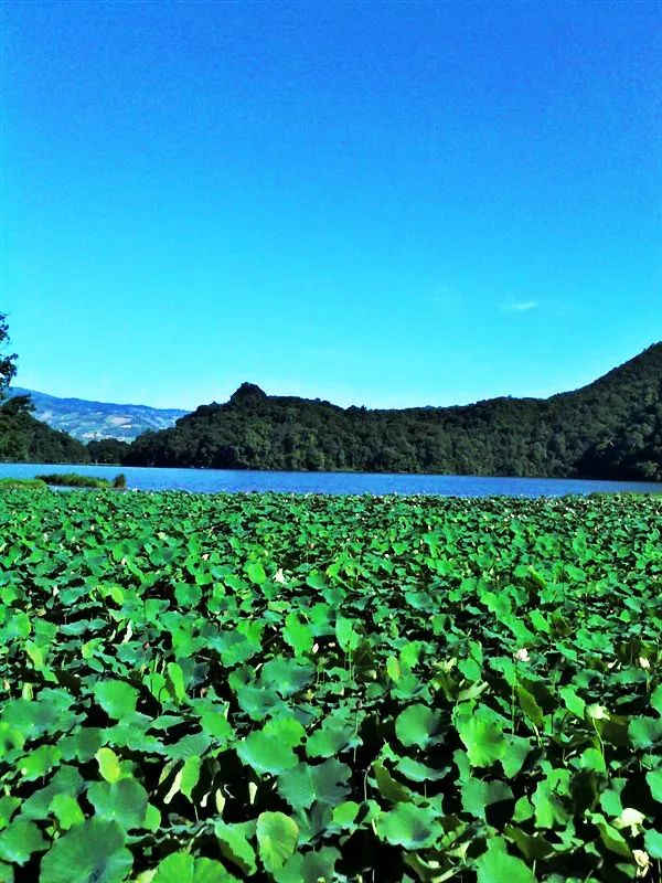 美丽的西盟龙潭,美丽的云南西盟