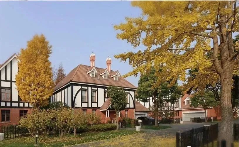 富人千万豪宅被疯抢,戴口罩抢千万豪宅