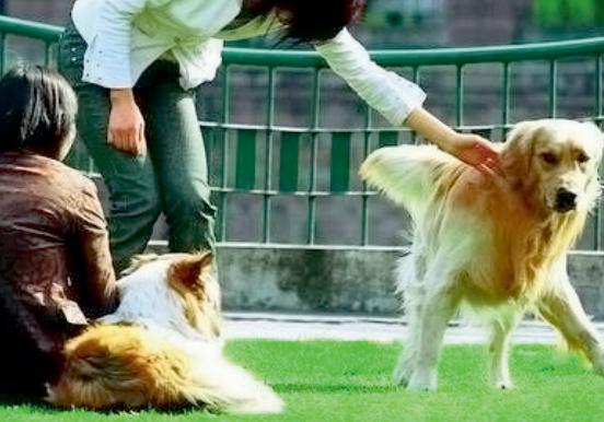 新刊提前看|天平两端：新闻监督人格权