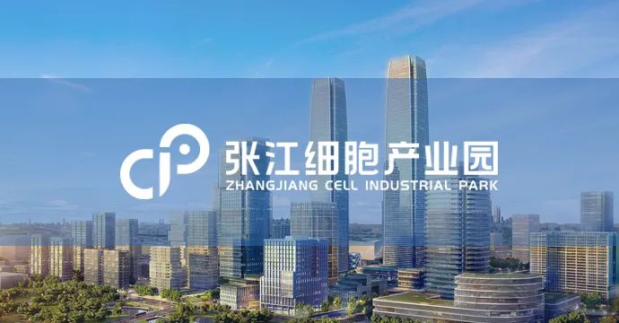 仿制药参比制剂目录第二十六批,第29批仿制药