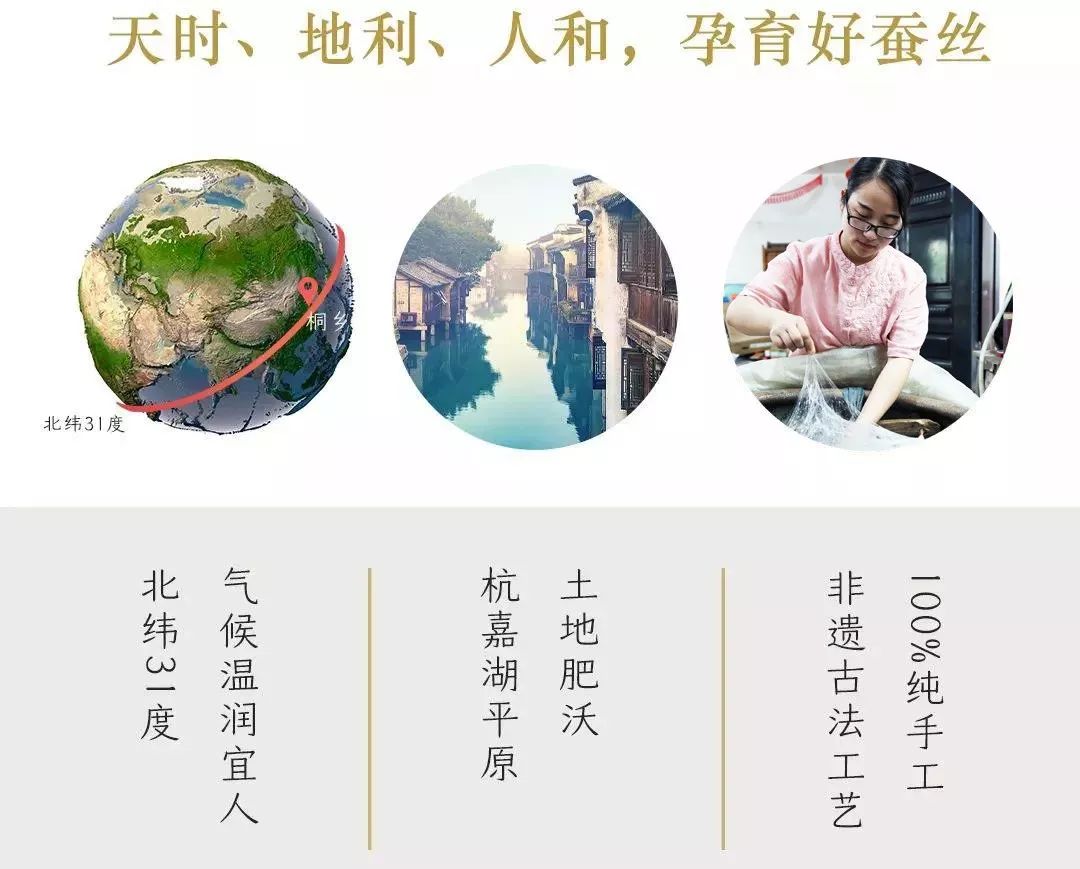 蚕丝被相关报道,桑蚕丝被曝光