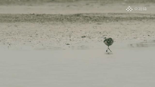 盐城最厉害的勺子,盐城铜勺子