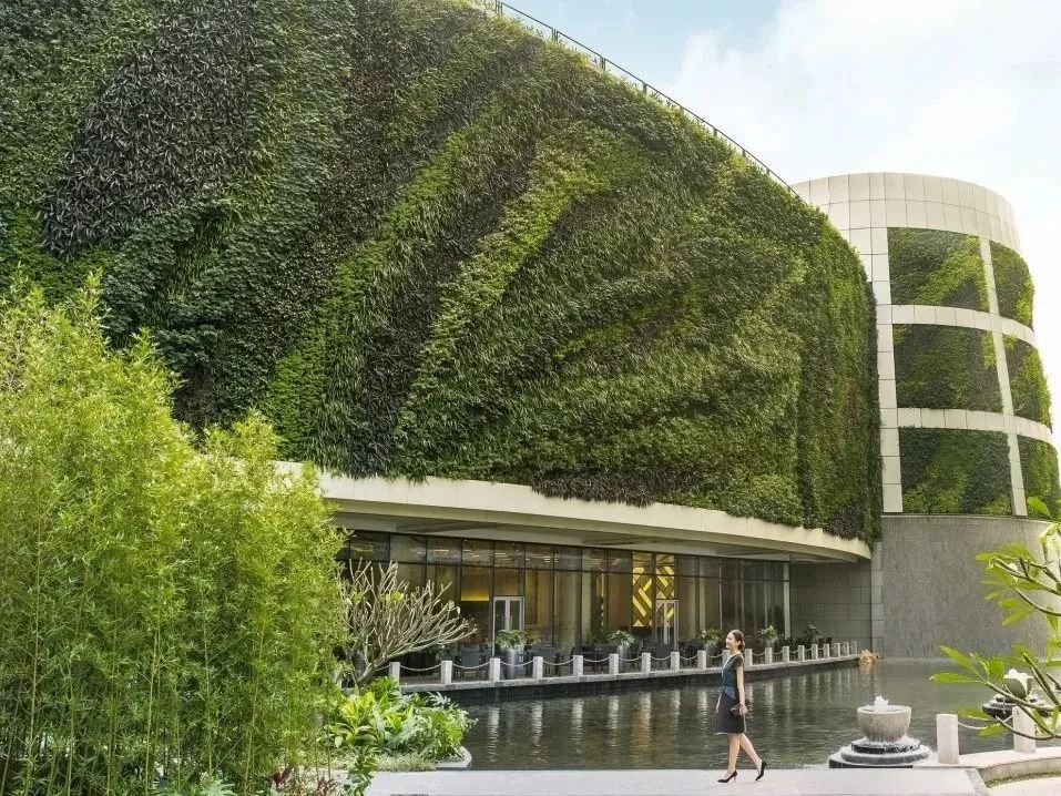 LOOK|深圳下午茶攻略·16家星级酒店都来了