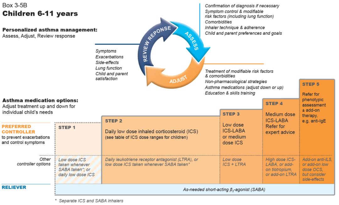 gina哮喘指南解读,gina哮喘指南什么时候建立的