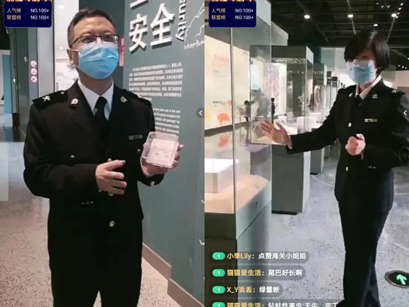 还有人从国外寄来20多只果蝠标本？海淘代购注意了，邮寄蜥蜴、盆景入境，可能会入刑