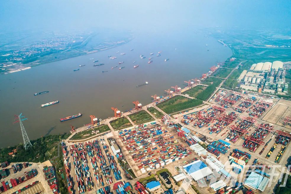 “疫”线物流逆境中成长|封面人物