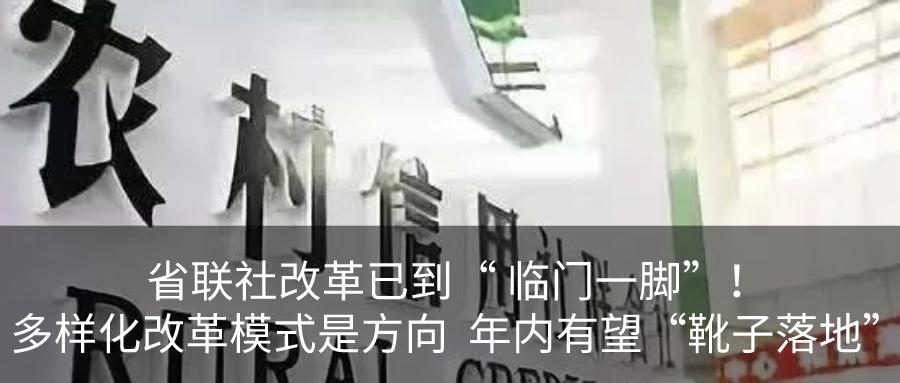 独家丨暖企惠农的“仙游农信样本”！看仙游农信联社如何助力疫情防控和经济社会发展“双胜利”