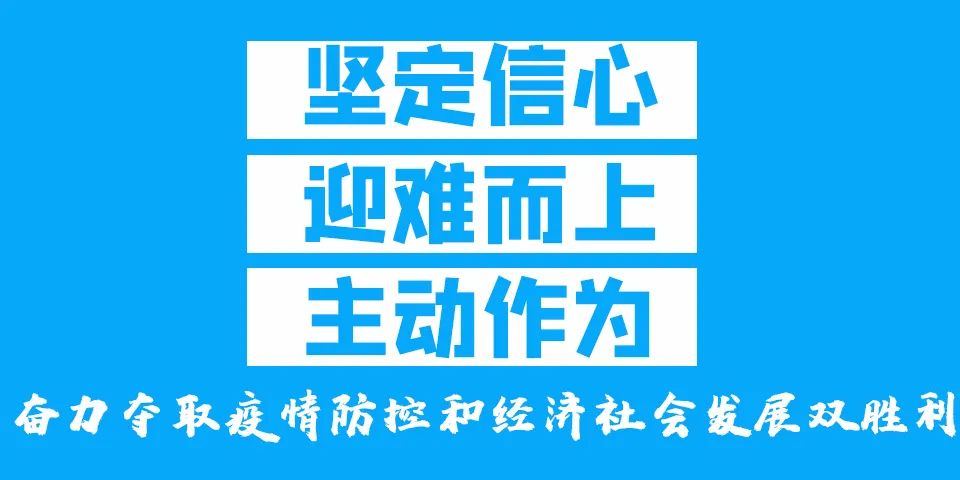 有驾照的黄石人注意了！这些业务可以网上办理