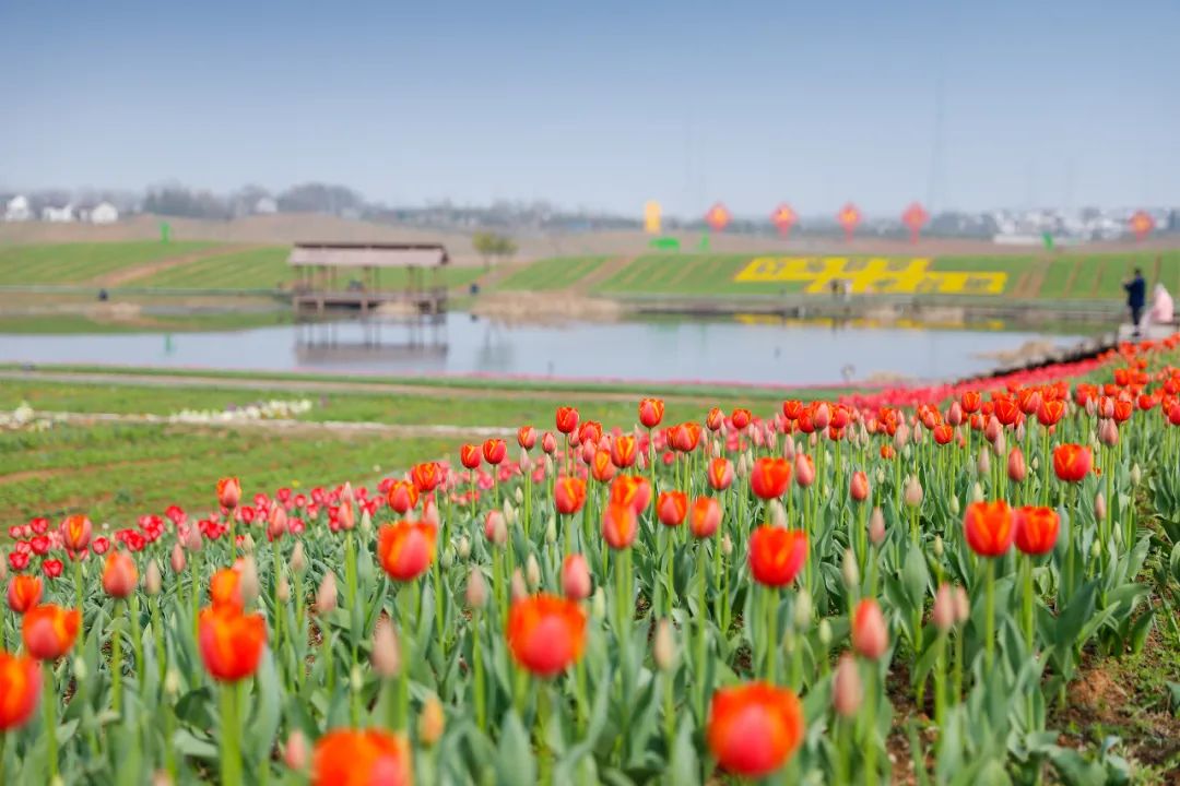 最美17公里路线,最美7公里人多吗