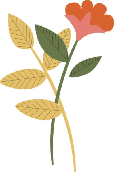 黄浦“青”购物丨限定市集nikoand…来了!在日本也难买的创意设计品牌统统集结!