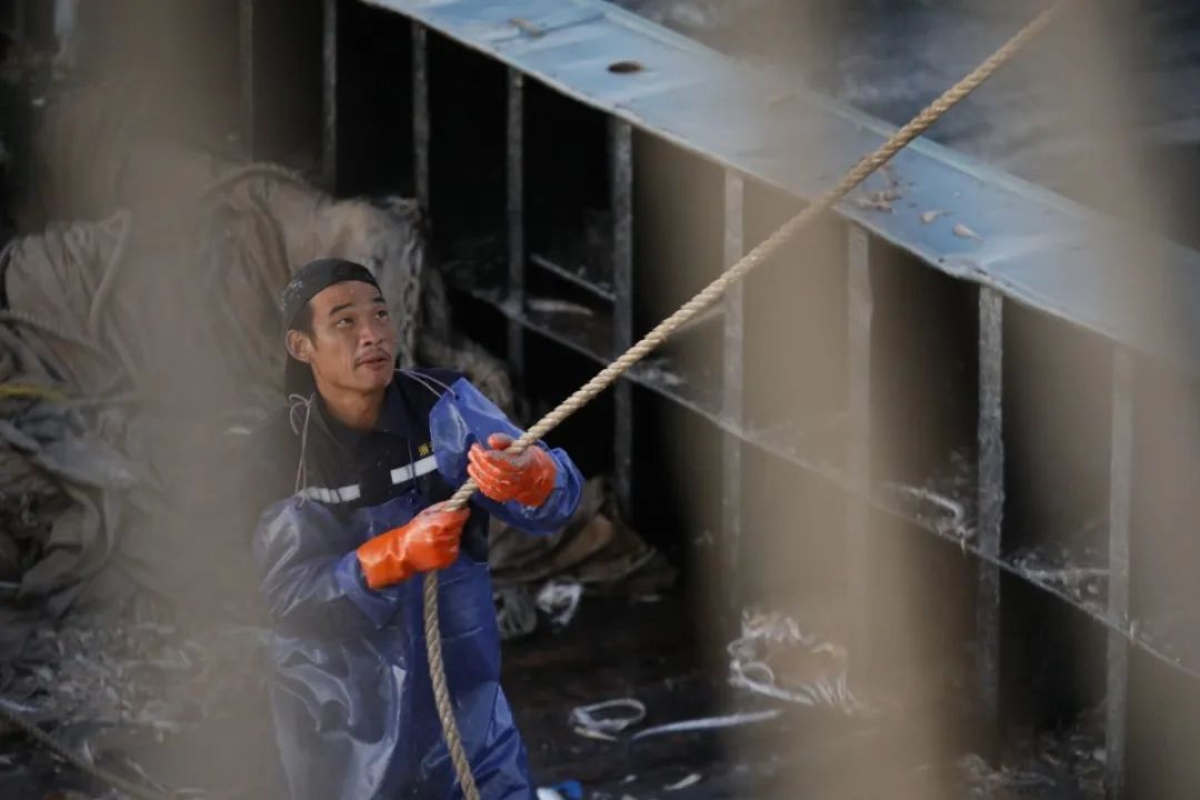 舟山带鱼是带鱼中的爱马仕,雷达网带鱼和普通带鱼有什么区别