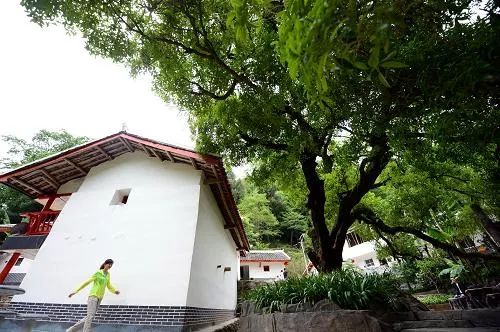 农村农业有效投资政策,农业农村部鼓励投资农业