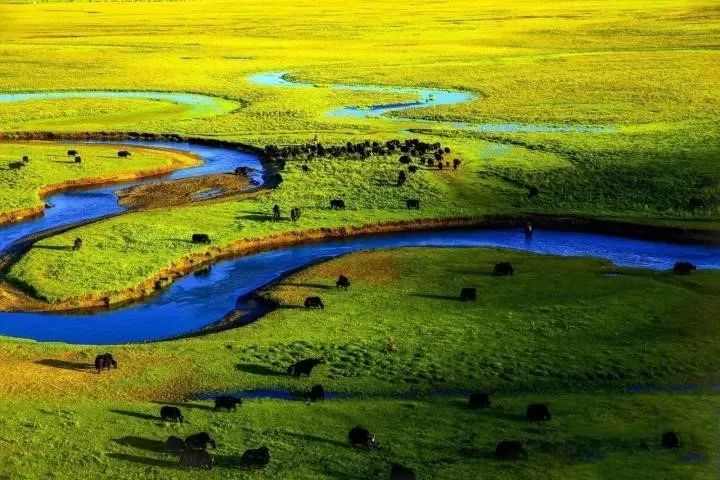 航拍阿坝农村视频,阿坝风景全景视频