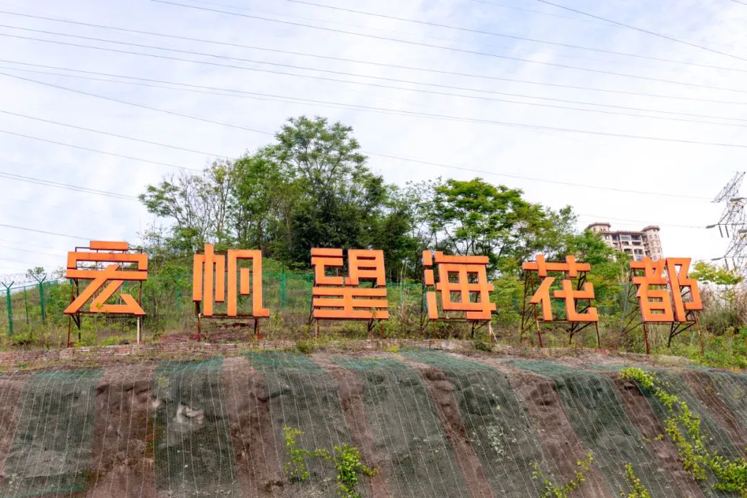 重庆最大的花市需要门票么,重庆最大的花市怎么走