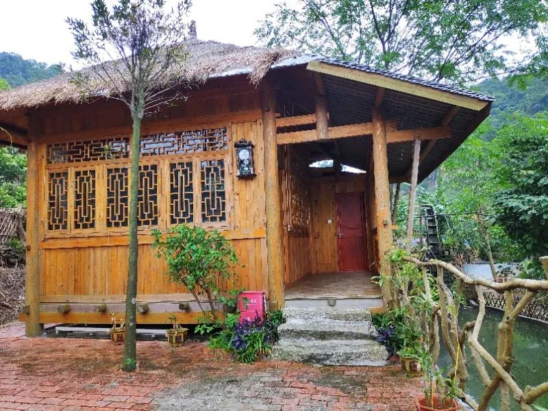 茶香禅韵入梦完整视频,世外桃源神仙度假地