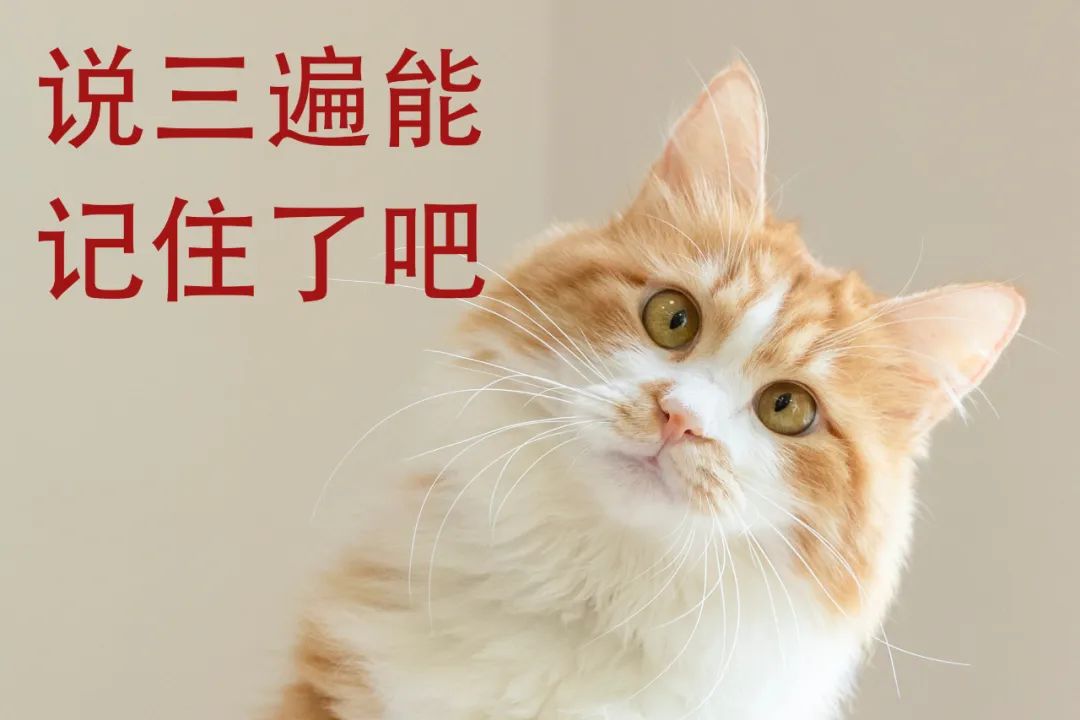 交通管制潍坊,潍坊今天路还交通管制吗