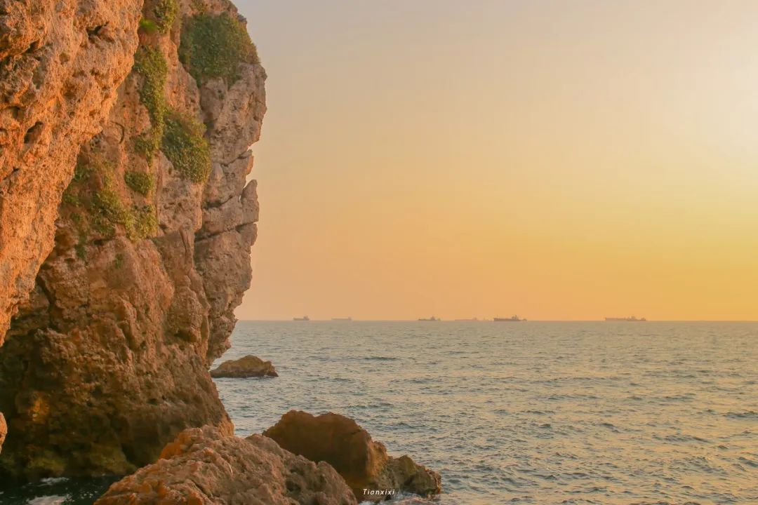 暂停自由行,暂停个人自由行