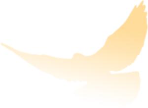 广东知识产权律师咨询,广东知识产权律师事务所