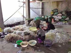 永泰县检察院,永泰检察院在哪