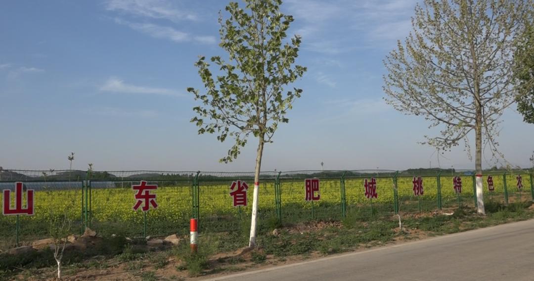 【桃园动态】中财华融国际金融集团到桃园镇实地考察调研